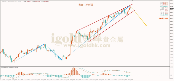 2026年08月25日黄金走势图 2026年08月25日黄金走势图