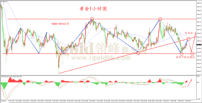 2021年2月3日黄金走势图 2021年2月3日黄金走势图