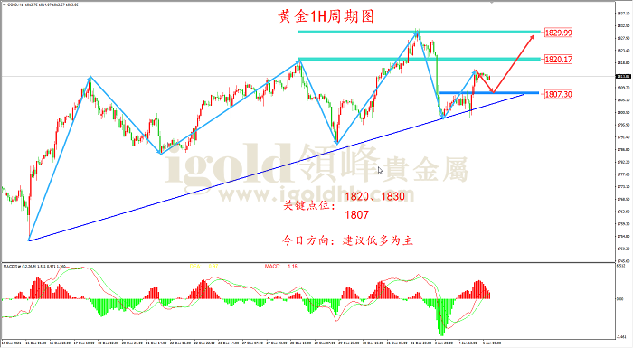 2022年1月5日黄金走势图 2022年1月5日黄金走势图