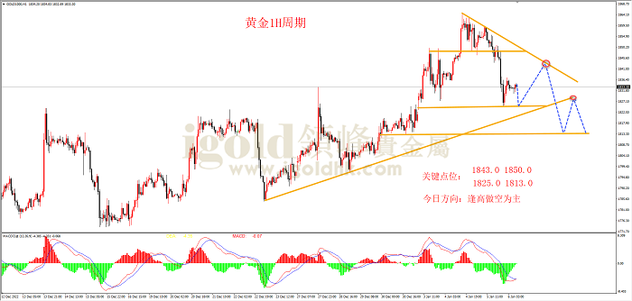 2023年1月6日黄金走势图 2023年1月6日黄金走势图