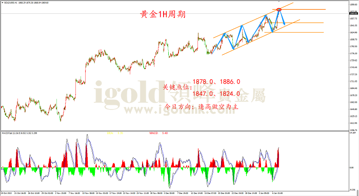2023年1月9日黄金走势图 2023年1月9日黄金走势图