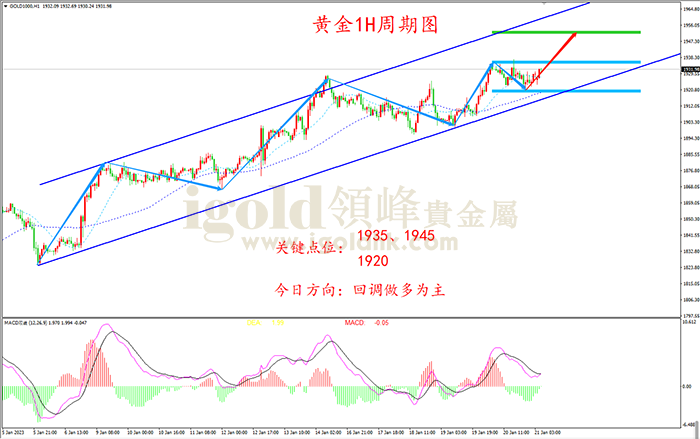 2023年1月23日黄金走势图 2023年1月23日黄金走势图