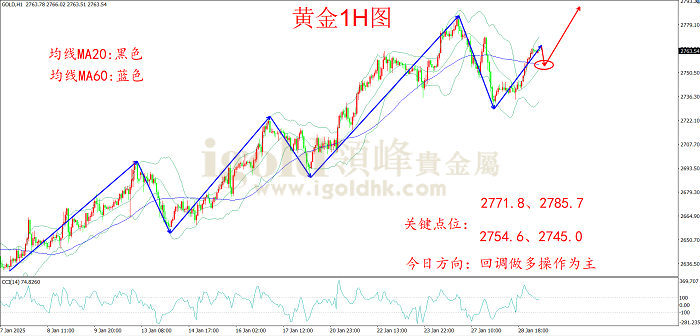 2025年1月29日黄金走势图 2025年1月29日黄金走势图