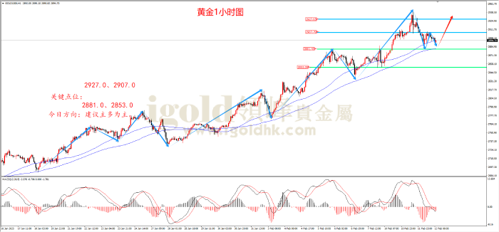 2025年2月12日黄金走势图
