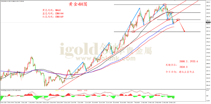 2025年2月28日黄金走势图