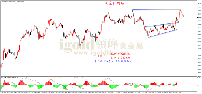 2025年06月12日黄金走势图 2025年06月12日黄金走势图