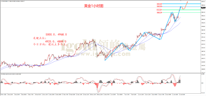2026年01月23日黄金走势图 2026年01月23日黄金走势图