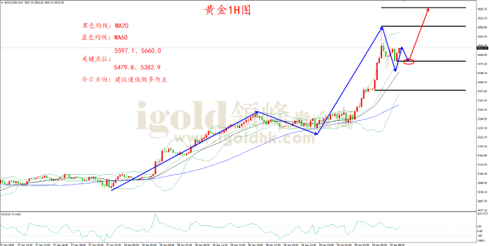 2026年01月29日黄金走势图 2026年01月29日黄金走势图