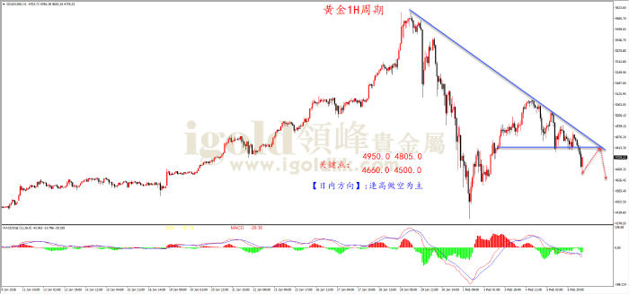 2026年02月06日黄金走势图 2026年02月06日黄金走势图