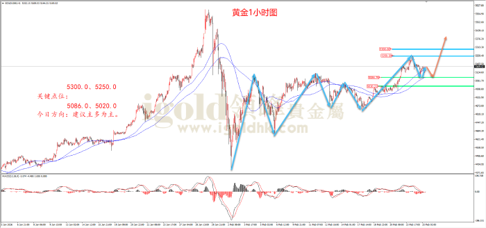 2026年02月25日黄金走势图 2026年02月25日黄金走势图